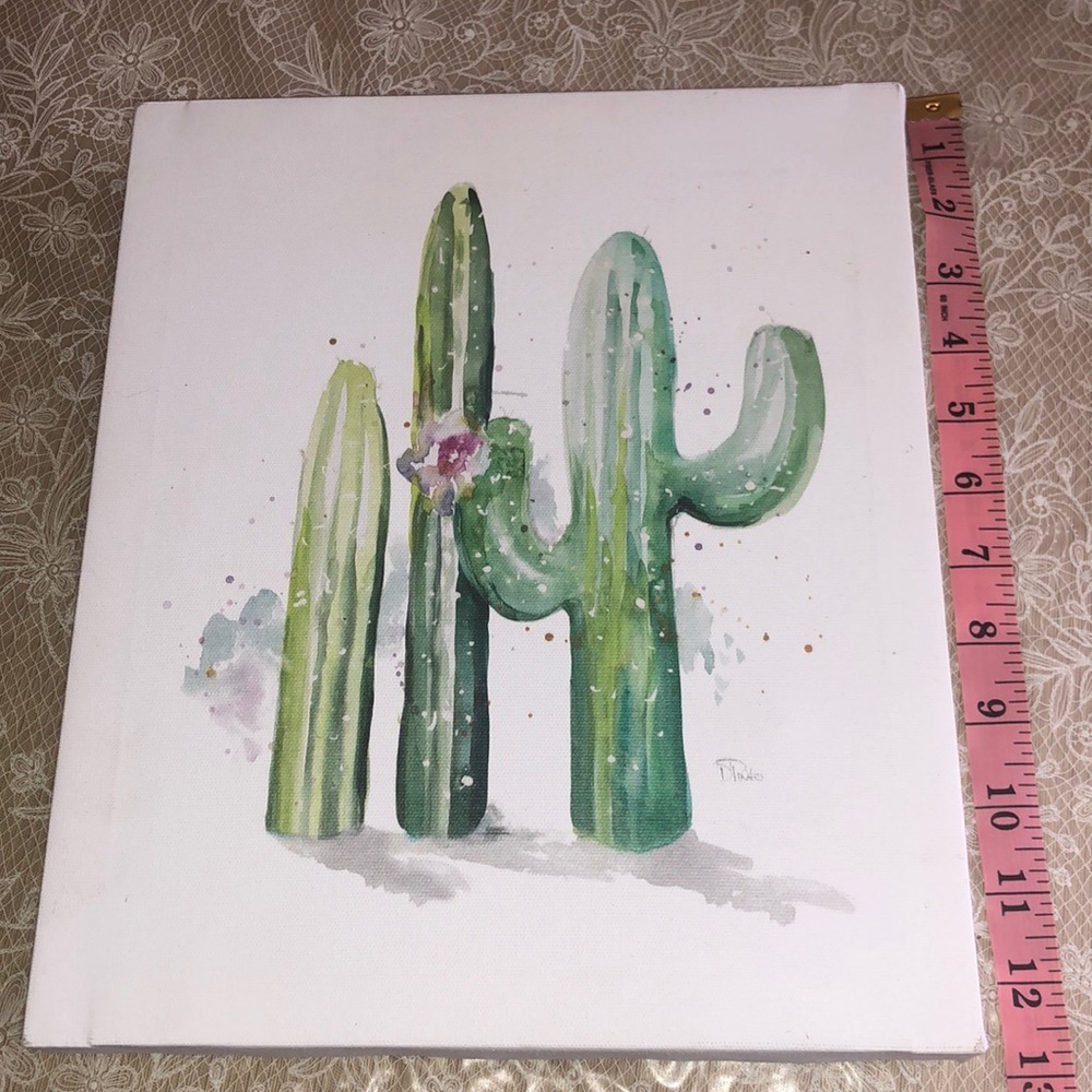 Cactus Canvas